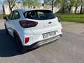 Ford Puma Puma 1,0 EcoBoost Titanium Titanium Weiß - thumbnail 3