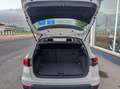 SEAT Arona 1.6 AMT 95 CV   I Blanco - thumbnail 10