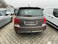 Mercedes-Benz GLK 250 4MATIC AHK PTS Shz eHeck Pano Klima AUT Grau - thumbnail 3