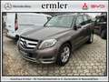 Mercedes-Benz GLK 250 4MATIC AHK PTS Shz eHeck Pano Klima AUT Grau - thumbnail 1