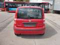 Fiat Panda 12.5 Euro 5 Rot - thumbnail 5