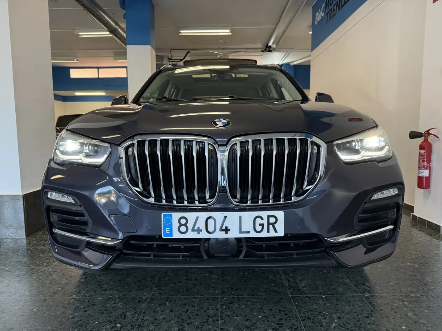 BMW X5 xDrive 30dA 9.75 Gris - 2