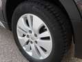 Suzuki SX4 S-Cross SX4 S-Cross 1,4 DITC ALLGRIP shine Grau - thumbnail 8