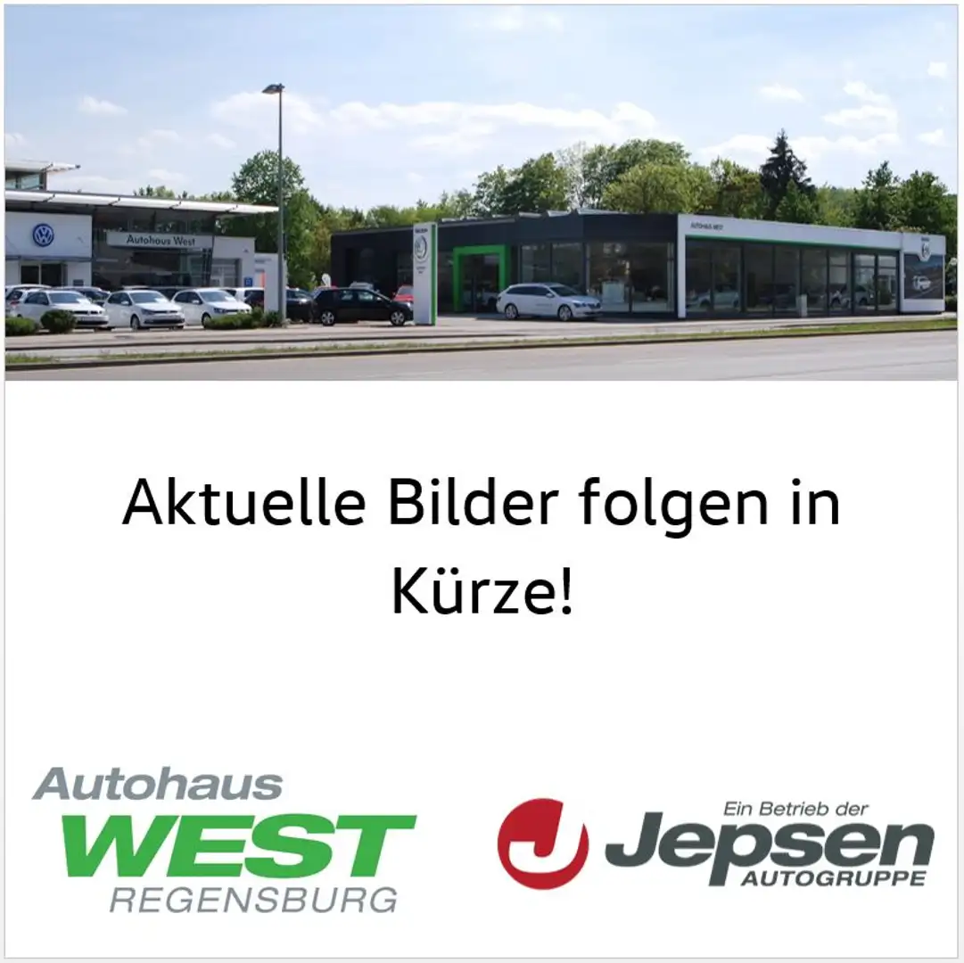 Skoda Fabia Combi 1.2 TSI Joy Green tec LM KlimaA SHZ Bianco - 1
