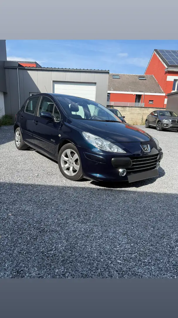 Peugeot 307 1.6i 16v Oxygo - 2