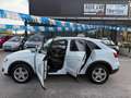 Audi Q3 " PERFETTA " Q3  2.0 tdi Business 140cv - thumbnail 6