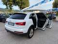 Audi Q3 " PERFETTA " Q3  2.0 tdi Business 140cv - thumbnail 7