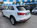 Audi Q3 " PERFETTA " Q3  2.0 tdi Business 140cv - thumbnail 8