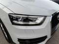 Audi Q3 " PERFETTA " Q3  2.0 tdi Business 140cv - thumbnail 15