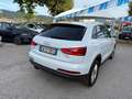 Audi Q3 " PERFETTA " Q3  2.0 tdi Business 140cv - thumbnail 9