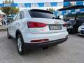 Audi Q3 " PERFETTA " Q3  2.0 tdi Business 140cv - thumbnail 2