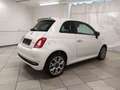 Fiat 500 1.0 hybrid Rockstar 70cv White - thumbnail 6