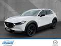 Mazda CX-30 2.5 GS Homura HUD Kamera Navi CarPlay LED Weiß - thumbnail 1