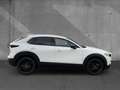 Mazda CX-30 2.5 GS Homura HUD Kamera Navi CarPlay LED Weiß - thumbnail 4
