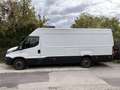 Iveco Daily 35C13V 4100 SHD Weiß - thumbnail 13