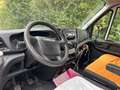 Iveco Daily 35C13V 4100 SHD Weiß - thumbnail 4