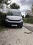 Iveco Daily 35C13V 4100 SHD Weiß - thumbnail 3