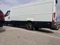 Iveco Daily 35C13V 4100 SHD Weiß - thumbnail 18