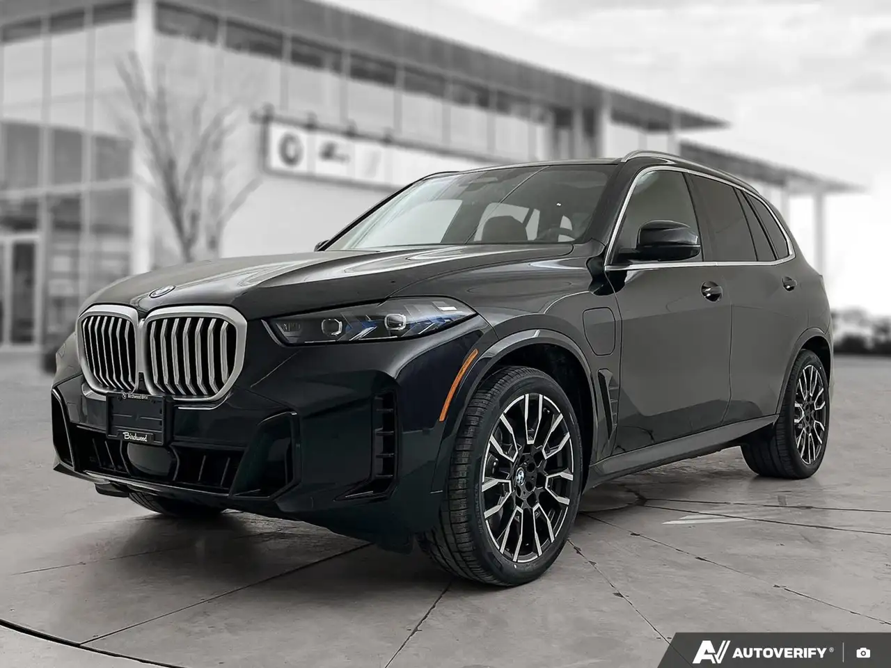 BMW X5 снимка BMW X5