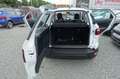 Ford EcoSport 1.0 Aut.KAM APP LED AHK Zahnr+Insp Neu Blanc - thumbnail 8