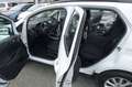 Ford EcoSport 1.0 Aut.KAM APP LED AHK Zahnr+Insp Neu Blanc - thumbnail 9