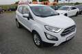 Ford EcoSport 1.0 Aut.KAM APP LED AHK Zahnr+Insp Neu Blanc - thumbnail 4