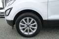 Ford EcoSport 1.0 Aut.KAM APP LED AHK Zahnr+Insp Neu Blanc - thumbnail 20