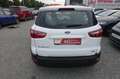 Ford EcoSport 1.0 Aut.KAM APP LED AHK Zahnr+Insp Neu Blanc - thumbnail 6