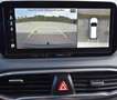Hyundai SANTA FE 2,2 CRDi 4WD Luxury Line DCT Aut. Grau - thumbnail 17