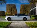 Rolls-Royce Ghost Black Badge *PROVENANCE* Blanc - thumbnail 4