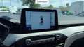 Ford Kuga 1.5 ecoblue connect 2wd 120cv auto Gris - thumbnail 13