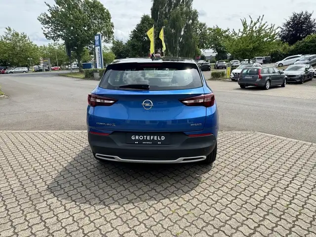 Opel Grandland view 6