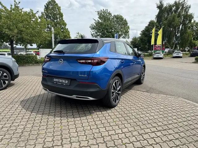 Opel Grandland view 7