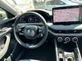 Skoda Superb Combi 2.0 TDI 142 kW 4x4 DSG EU6e Selection Allrad Beige - thumbnail 16