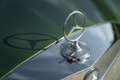 Mercedes-Benz 220 SE CABRIOLET Vert - thumbnail 34