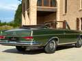 Mercedes-Benz 220 SE CABRIOLET Vert - thumbnail 23