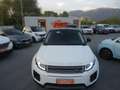 Land Rover Range Rover Evoque 5p 2.0 td4 Pure Business edition 180cv auto Bianco - thumbnail 9