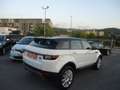 Land Rover Range Rover Evoque 5p 2.0 td4 Pure Business edition 180cv auto Bianco - thumbnail 4