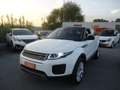Land Rover Range Rover Evoque 5p 2.0 td4 Pure Business edition 180cv auto Bianco - thumbnail 8