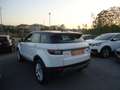 Land Rover Range Rover Evoque 5p 2.0 td4 Pure Business edition 180cv auto Bianco - thumbnail 6