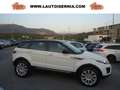 Land Rover Range Rover Evoque 5p 2.0 td4 Pure Business edition 180cv auto Bianco - thumbnail 1