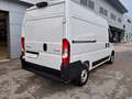Citroen Jumper 35L2H2 140cv Euro 6E Bianco - thumbnail 6