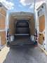 Renault Master TRANSPORTER BUS KLEINBUS - thumbnail 2