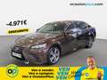 Lexus GS 300 300h Executive Braun - thumbnail 1
