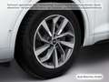 Audi Q5 40 TDI qu. S tronic 2x S line StdHz Weiß - thumbnail 19
