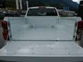 Isuzu D-Max D-MAX Double Cab 4x4 LS Aut. Weiß - thumbnail 8