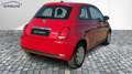 Fiat 500 1,0 MHEV Pop DAB Klima Rot - thumbnail 3