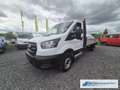 Ford Transit Pritsche 350 L5 Überhang Einzelkabine Basis 2.0 TD Weiß - thumbnail 3