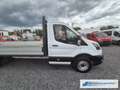 Ford Transit Pritsche 350 L5 Überhang Einzelkabine Basis 2.0 TD Weiß - thumbnail 8