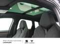 CUPRA Terramar VZ 1.5 KAM360° KEYLESS PDC MEMORY SHZ Noir - thumbnail 8